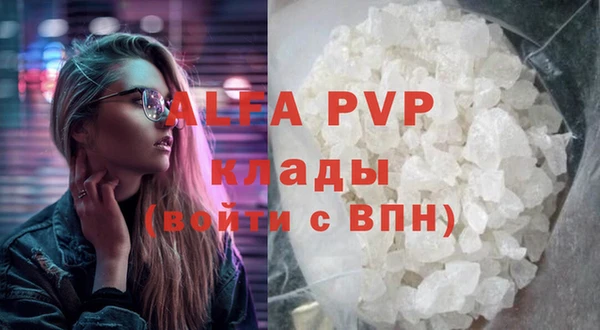 сатива Куртамыш